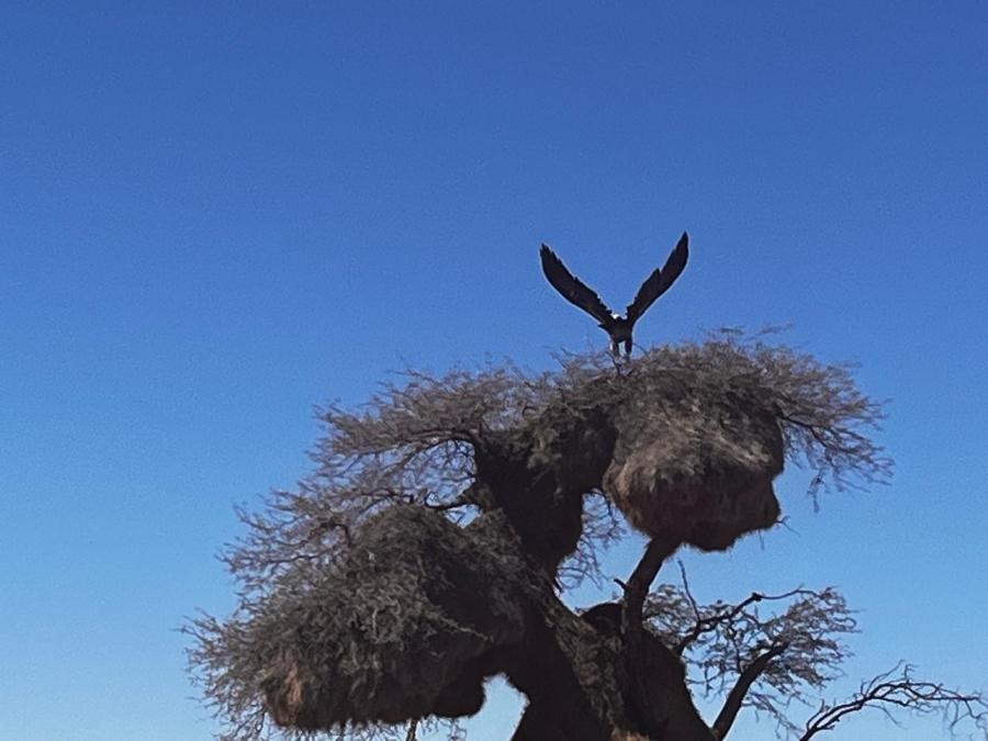 3 Bedroom Property for Sale in Upington Rural Northern Cape